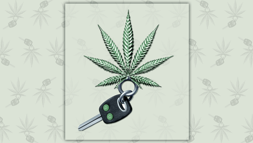 marijuana-leaf-driving