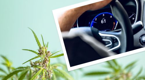 Driving car Cannabis background